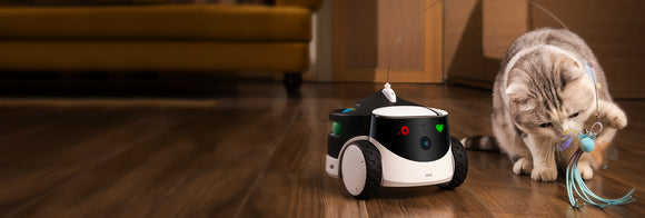 Sorpréndete con Rola PetPal: El robot cámara que te conecta con tu mascota